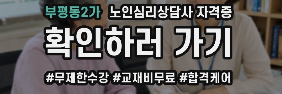 부평동2가 노인 심리 상담사 자격증