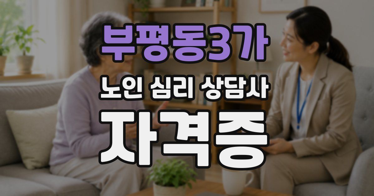 부평동3가 노인 심리 상담사 자격증
