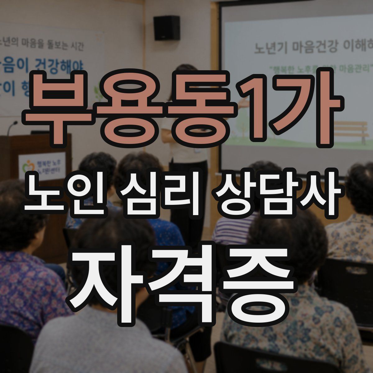 부용동1가 노인 심리 상담사 자격증