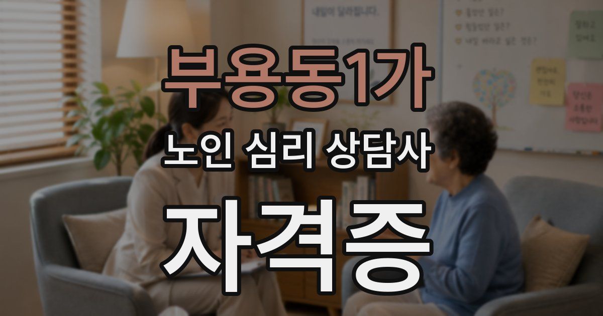 부용동1가 노인 심리 상담사 자격증