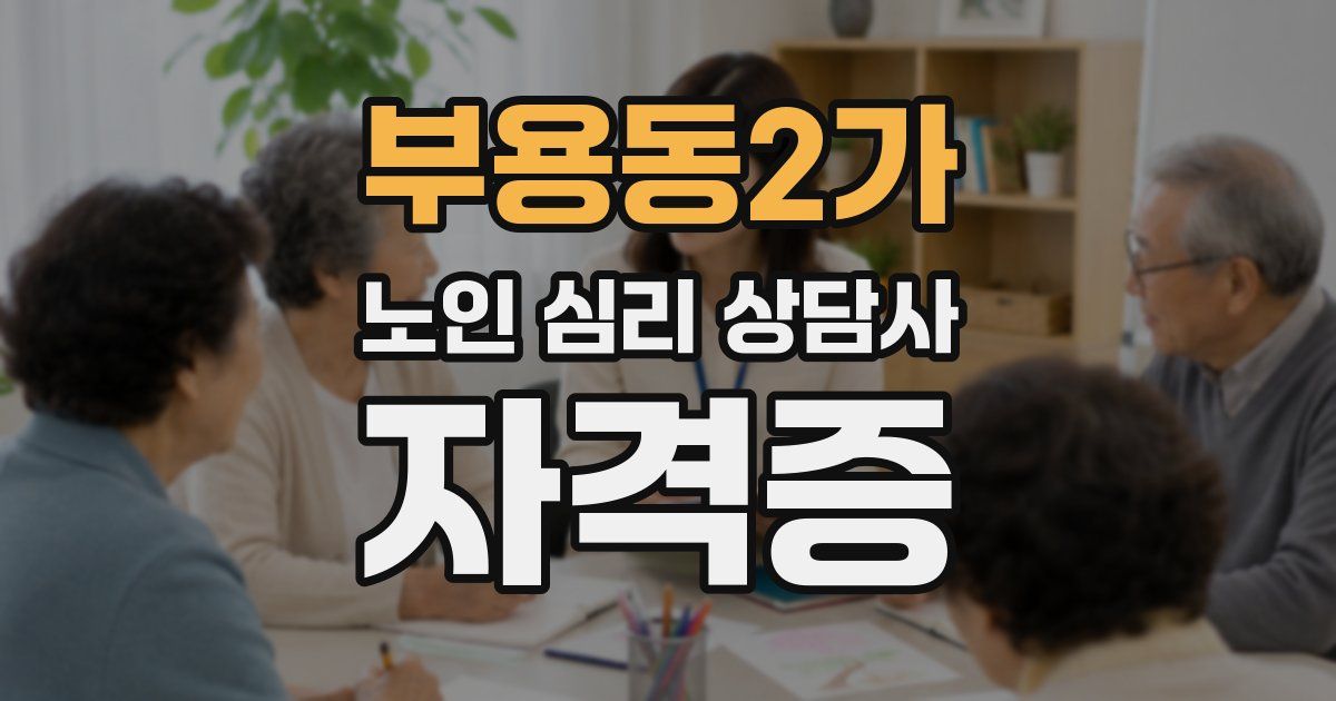 부용동2가 노인 심리 상담사 자격증