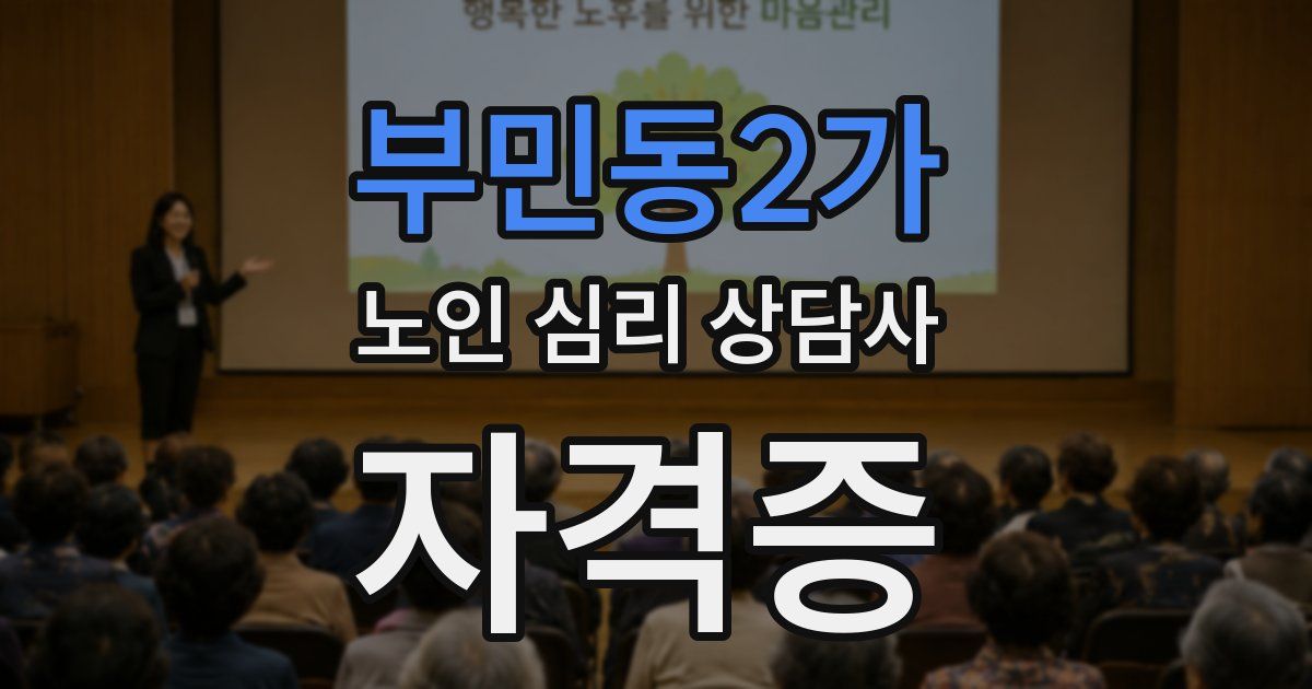 부민동2가 노인 심리 상담사 자격증