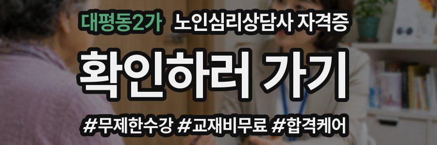 대평동2가 노인 심리 상담사 자격증