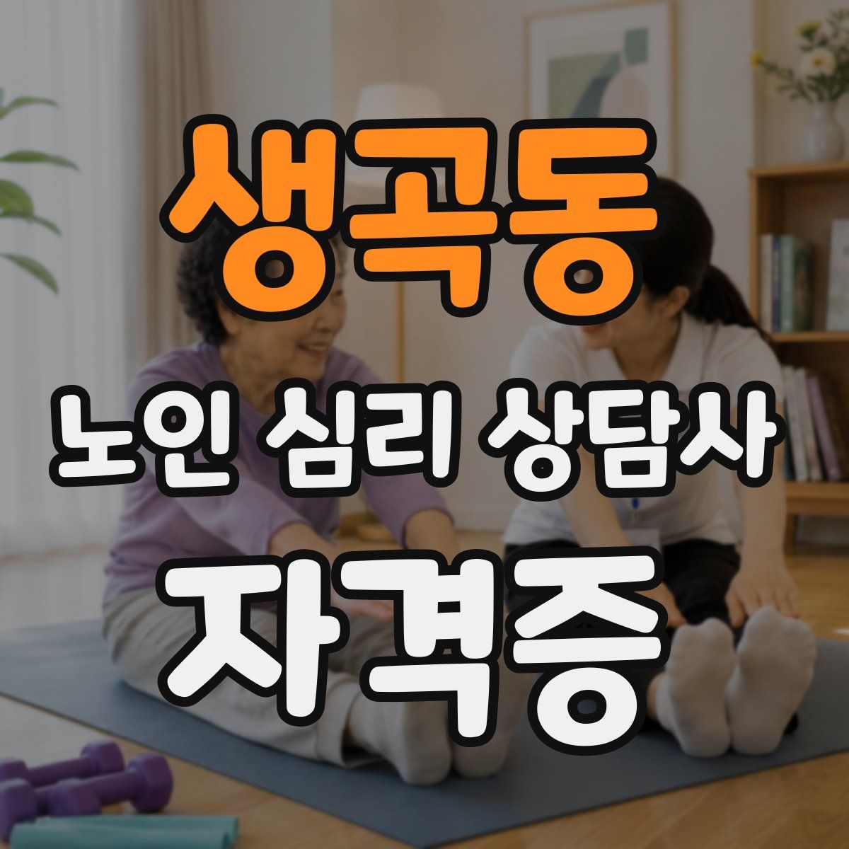 생곡동 노인 심리 상담사 자격증