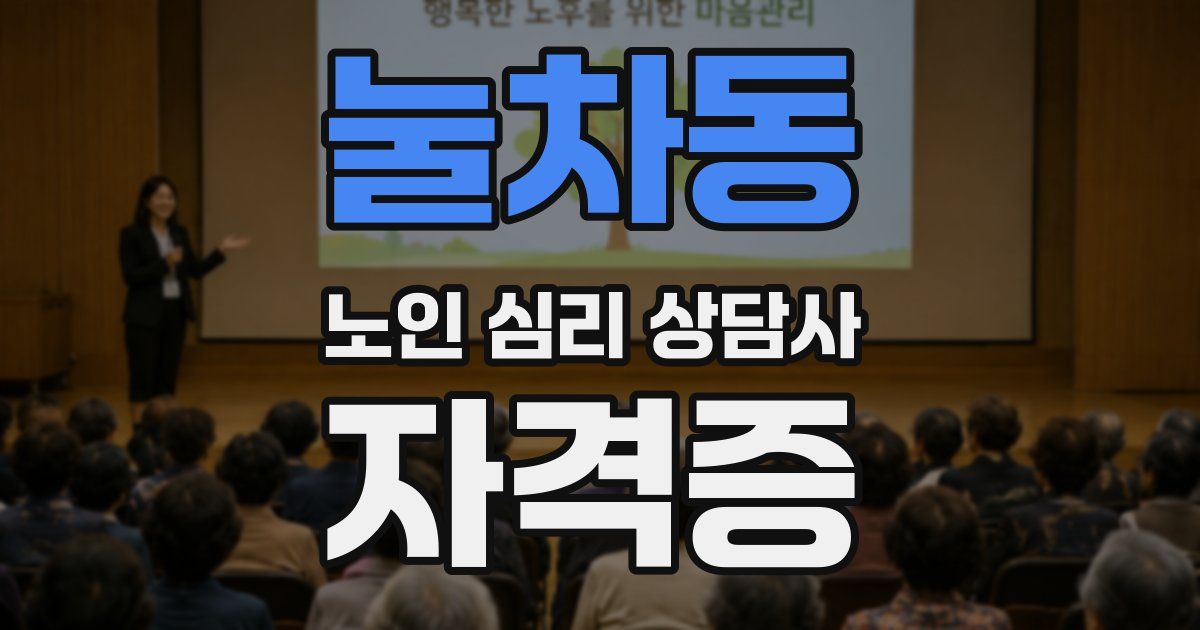 눌차동 노인 심리 상담사 자격증