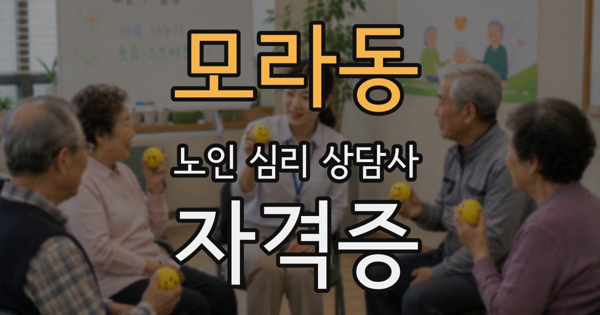 모라동 노인 심리 상담사 자격증
