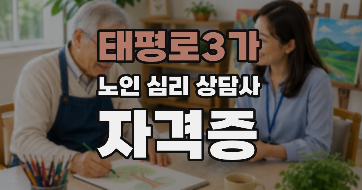 태평로3가 노인 심리 상담사 자격증