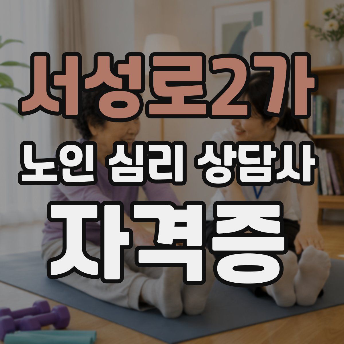 서성로2가 노인 심리 상담사 자격증