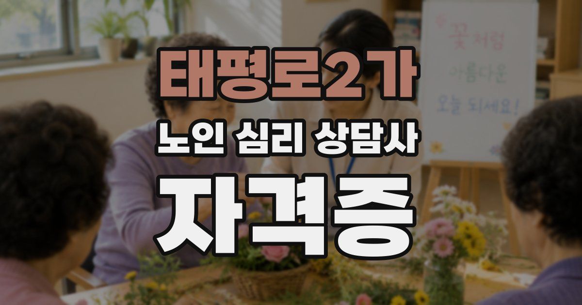 태평로2가 노인 심리 상담사 자격증