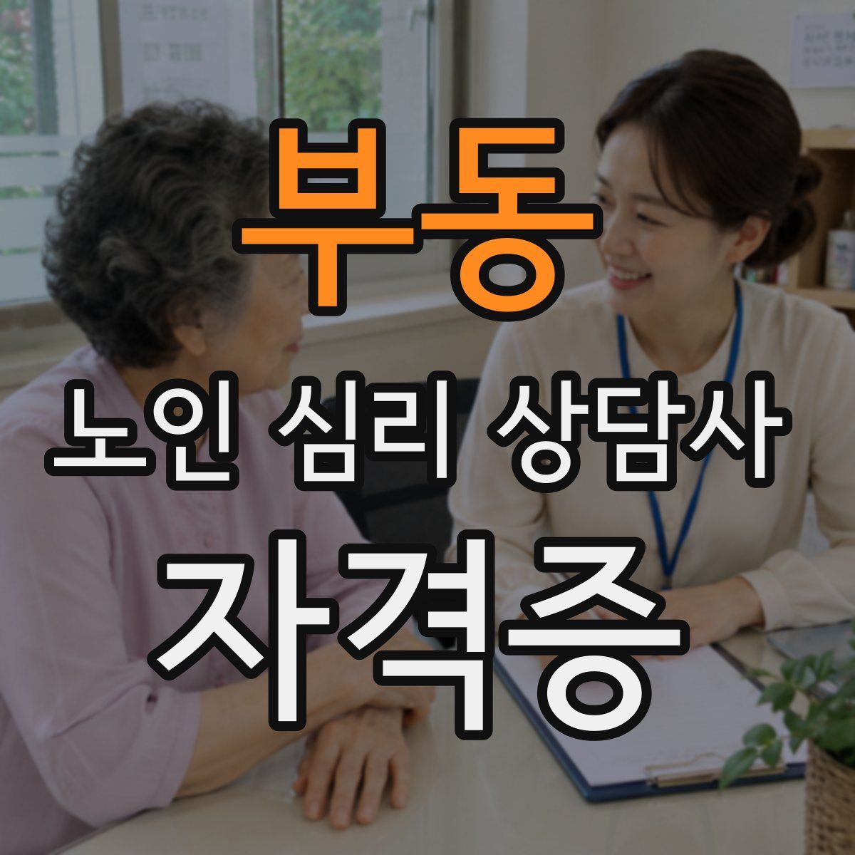 부동 노인 심리 상담사 자격증