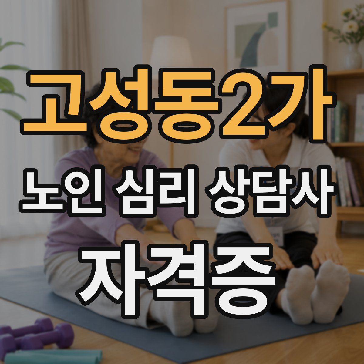 고성동2가 노인 심리 상담사 자격증