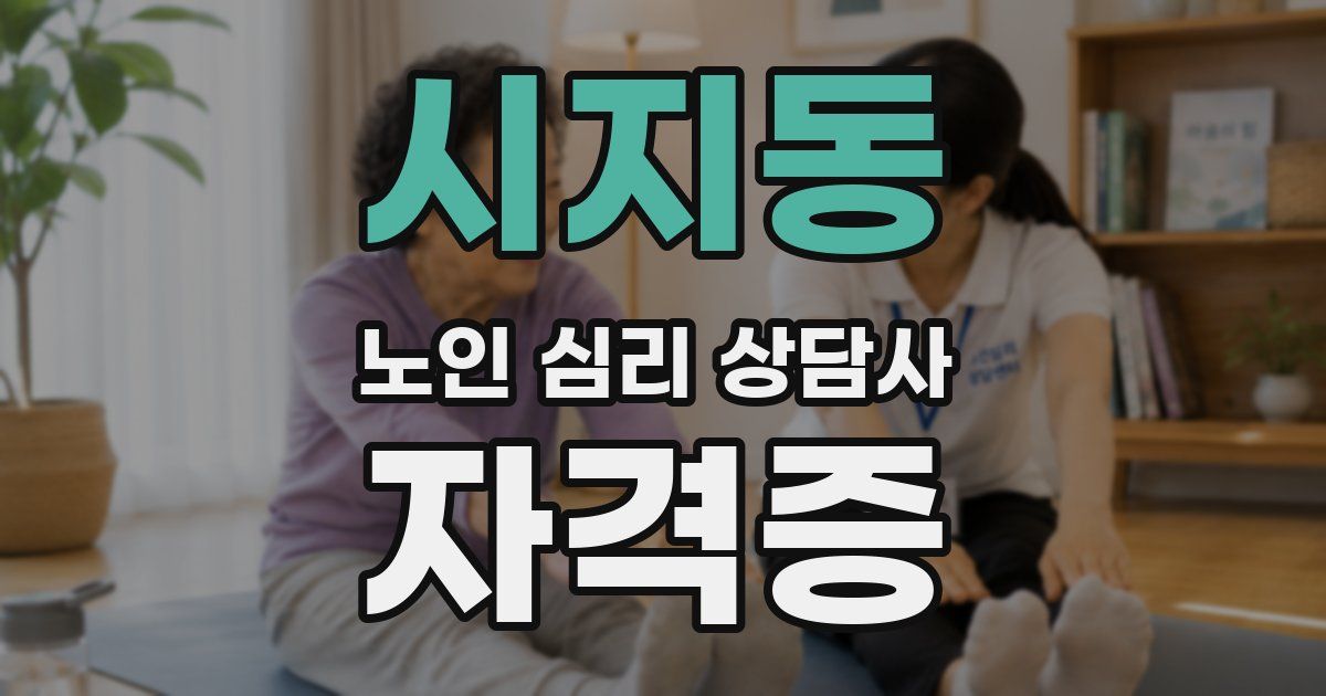 시지동 노인 심리 상담사 자격증