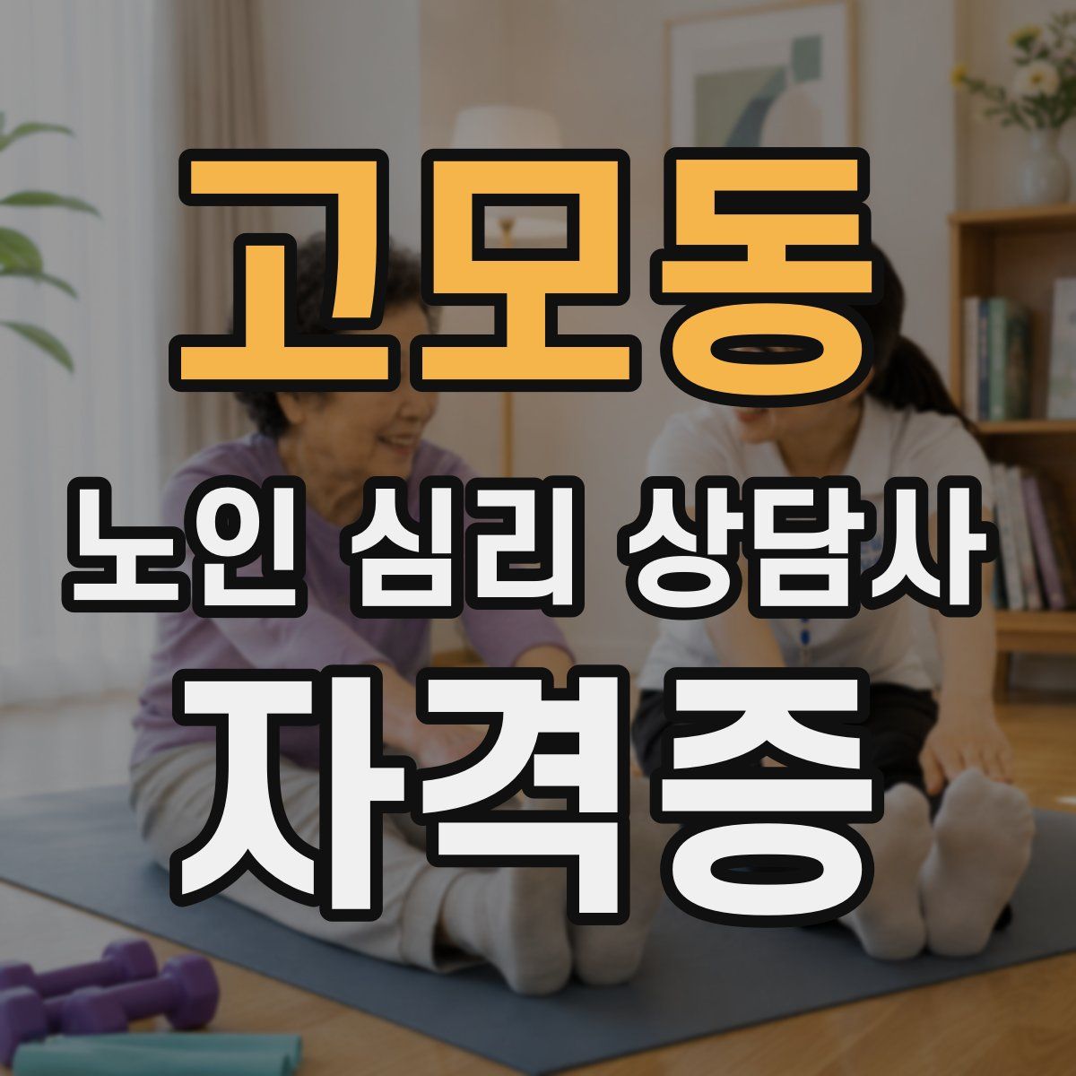 고모동 노인 심리 상담사 자격증