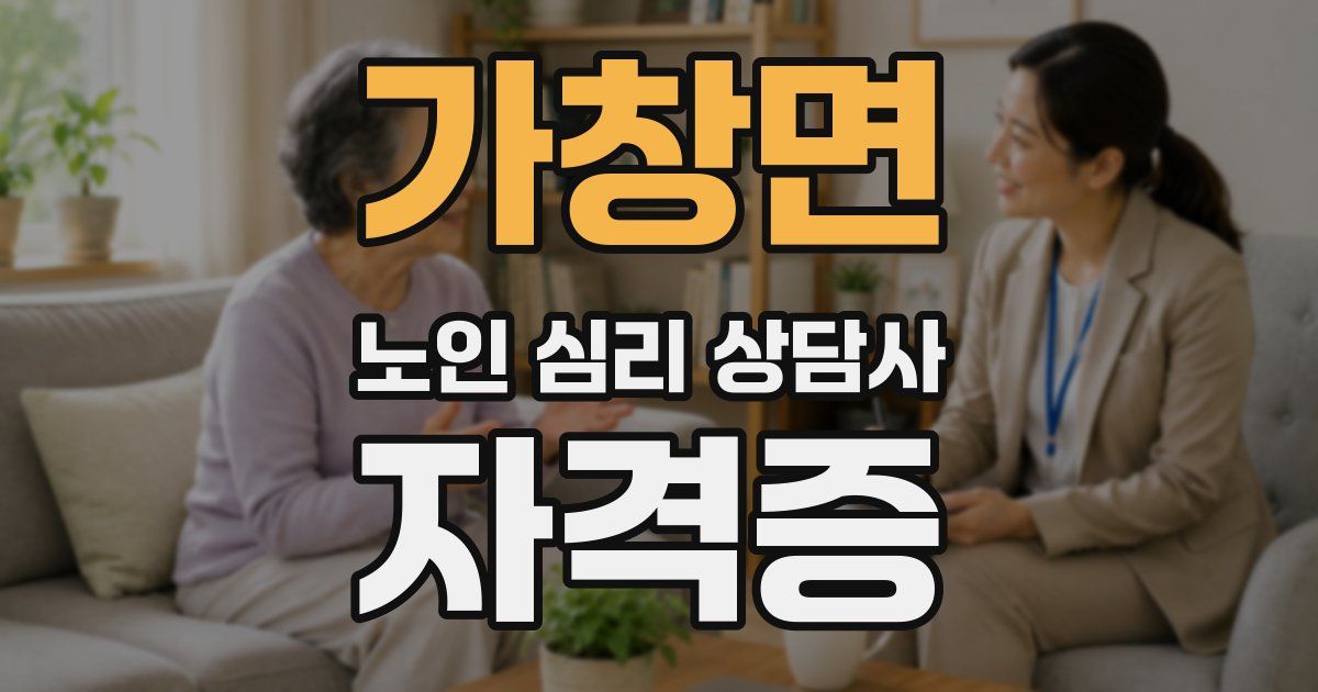가창면 노인 심리 상담사 자격증