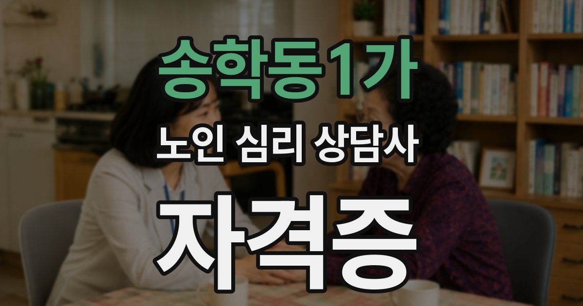 송학동1가 노인 심리 상담사 자격증