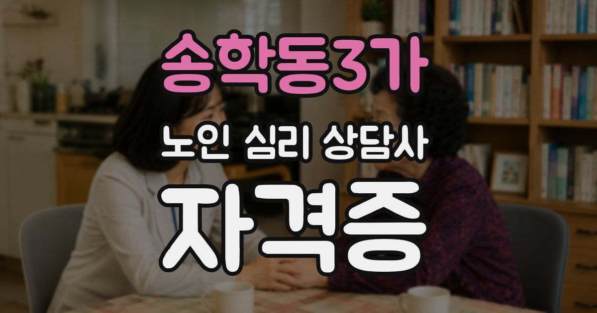 송학동3가 노인 심리 상담사 자격증