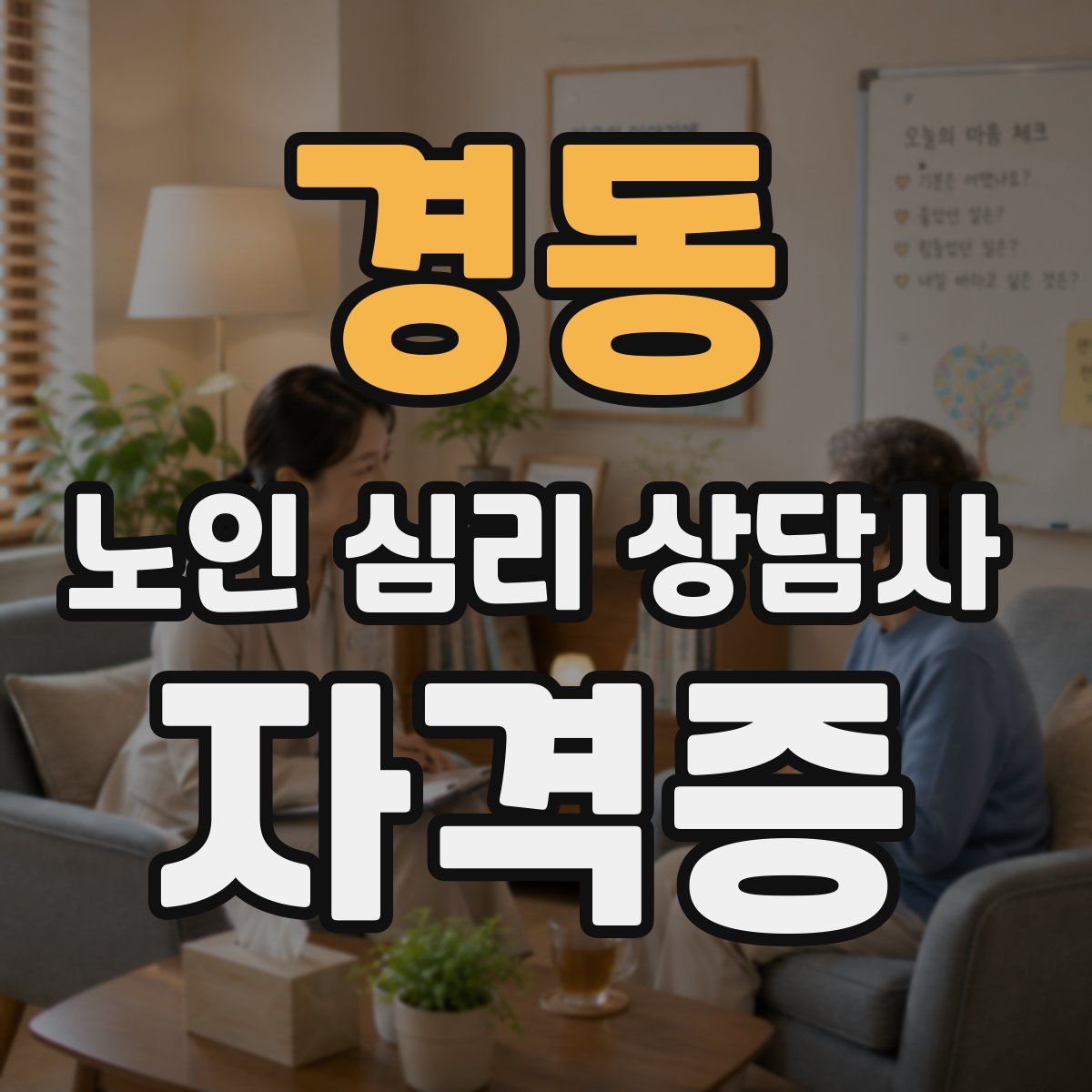 경동 노인 심리 상담사 자격증