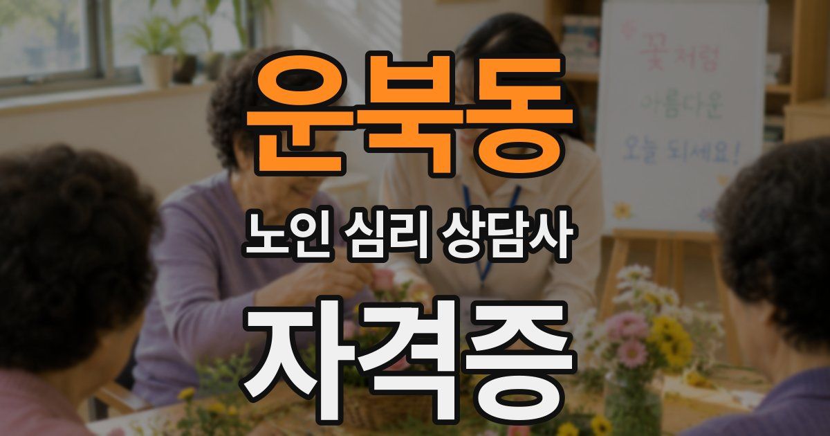 운북동 노인 심리 상담사 자격증
