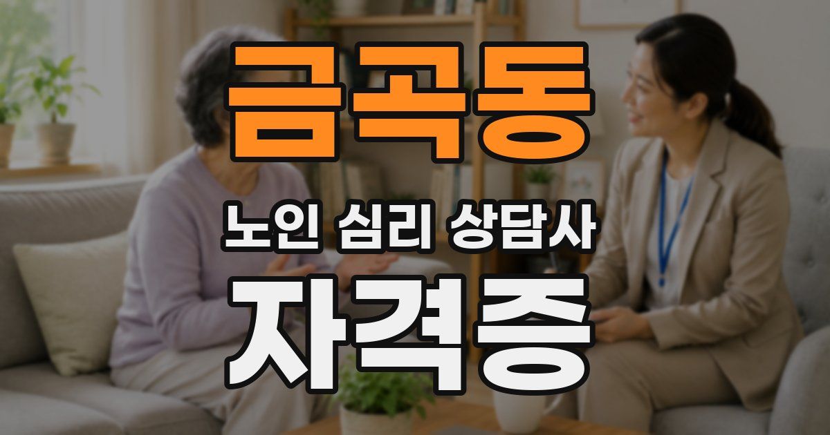 금곡동 노인 심리 상담사 자격증