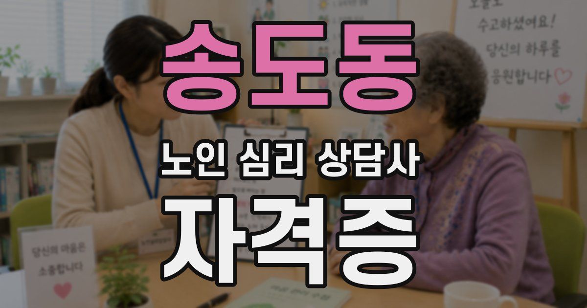 송도동 노인 심리 상담사 자격증