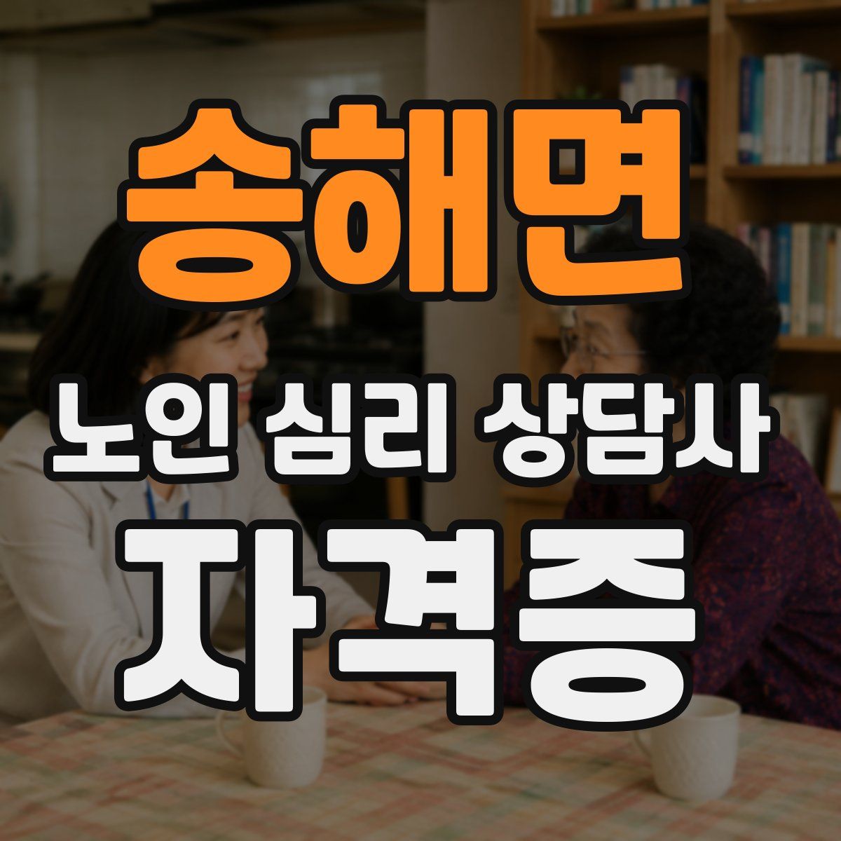 송해면 노인 심리 상담사 자격증