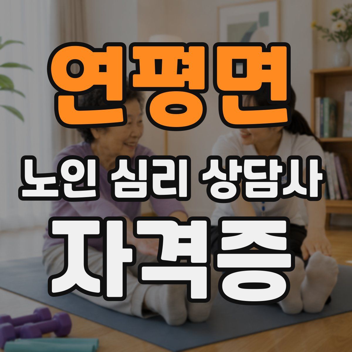 연평면 노인 심리 상담사 자격증
