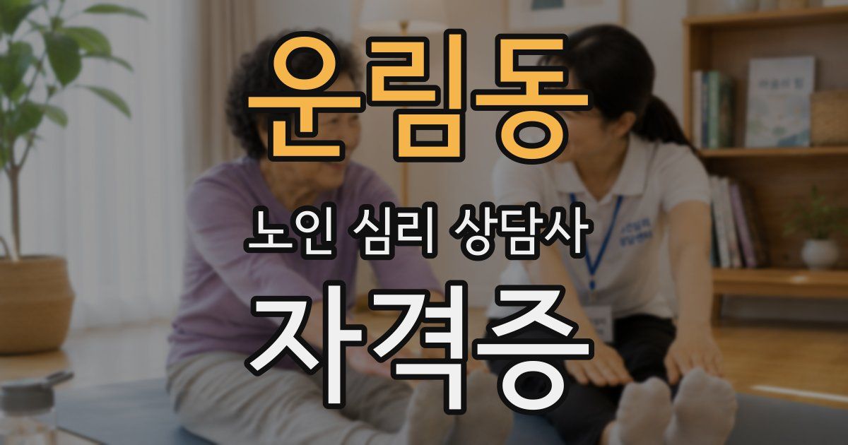 운림동 노인 심리 상담사 자격증