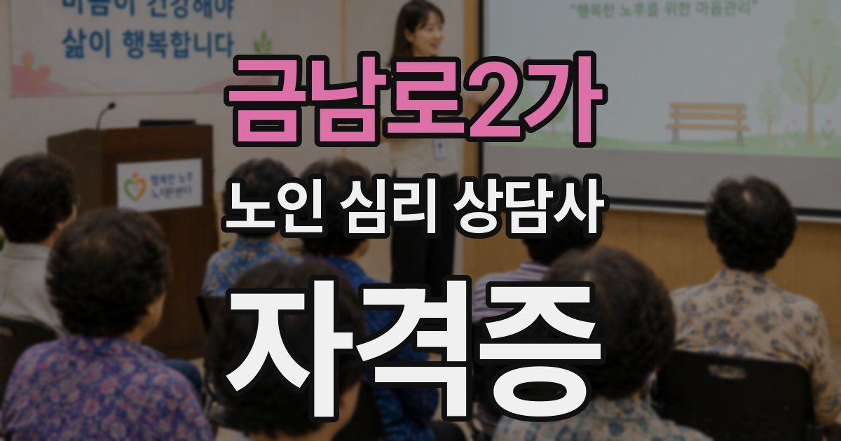 금남로2가 노인 심리 상담사 자격증