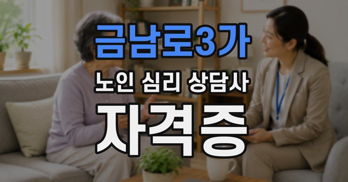 금남로3가 노인 심리 상담사 자격증