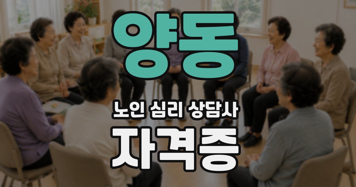 양동 노인 심리 상담사 자격증