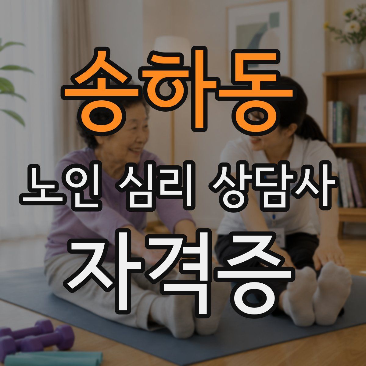 송하동 노인 심리 상담사 자격증