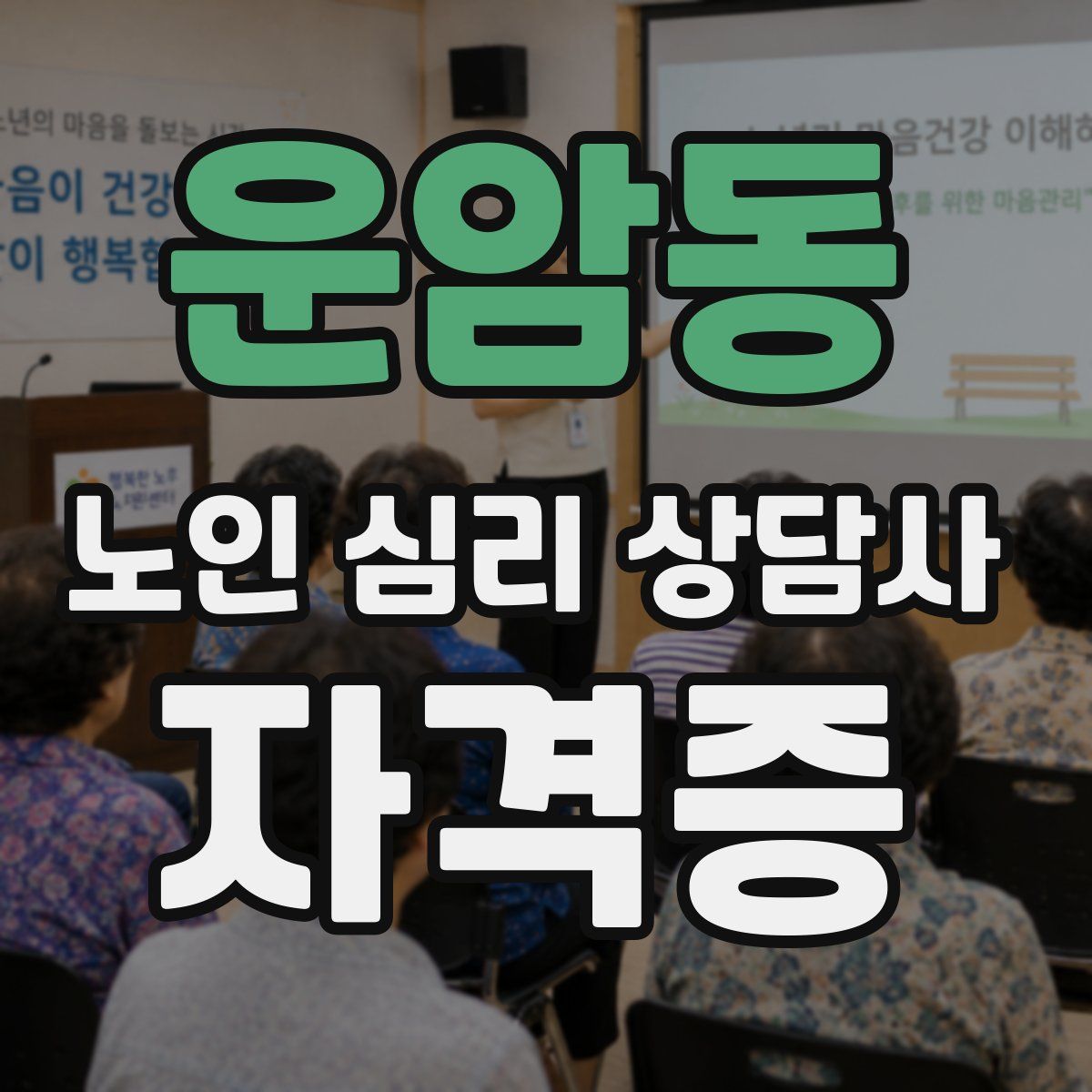 운암동 노인 심리 상담사 자격증