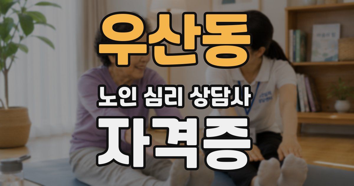 우산동 노인 심리 상담사 자격증
