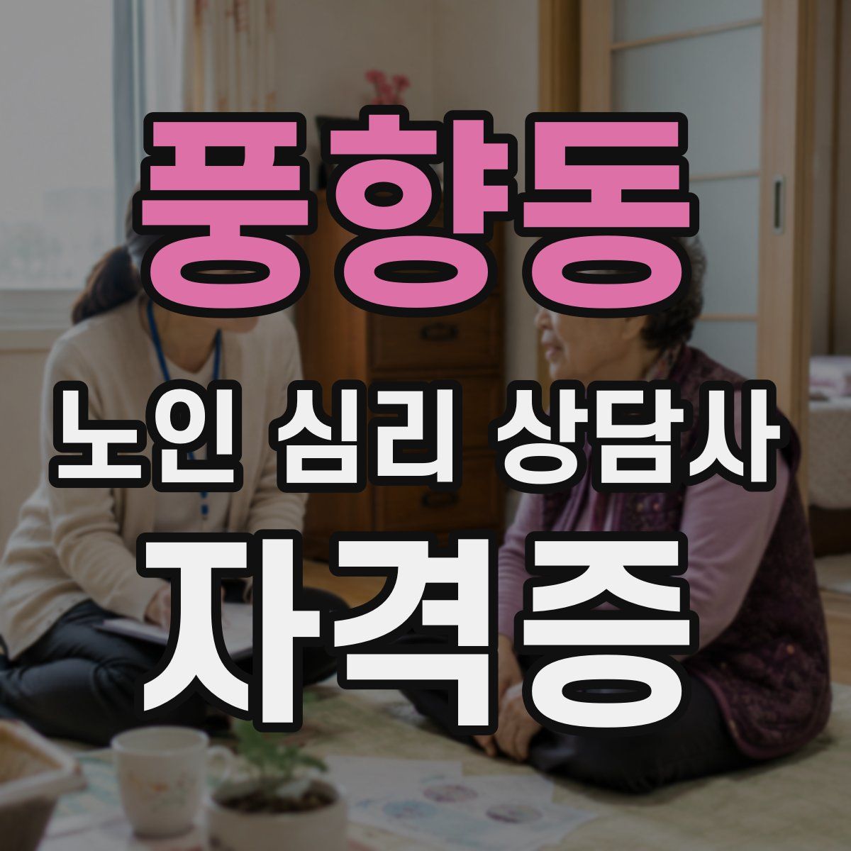 풍향동 노인 심리 상담사 자격증
