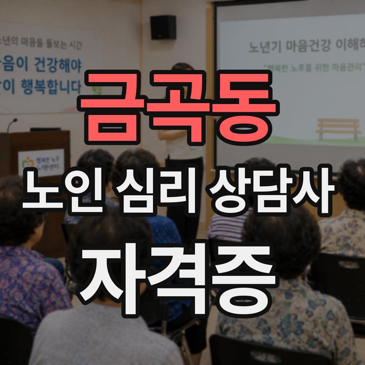 금곡동 노인 심리 상담사 자격증