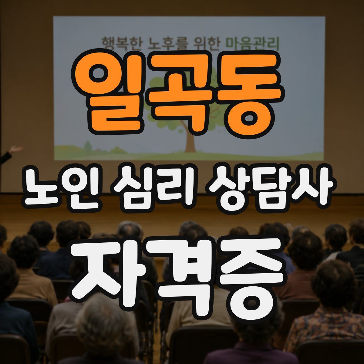 일곡동 노인 심리 상담사 자격증