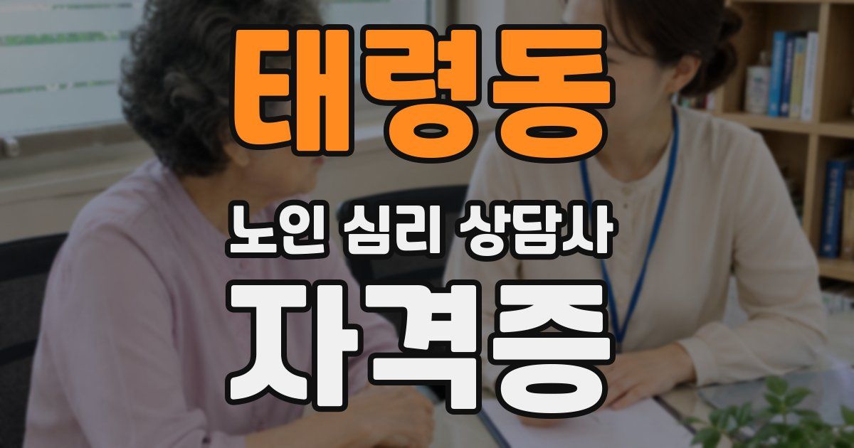 태령동 노인 심리 상담사 자격증