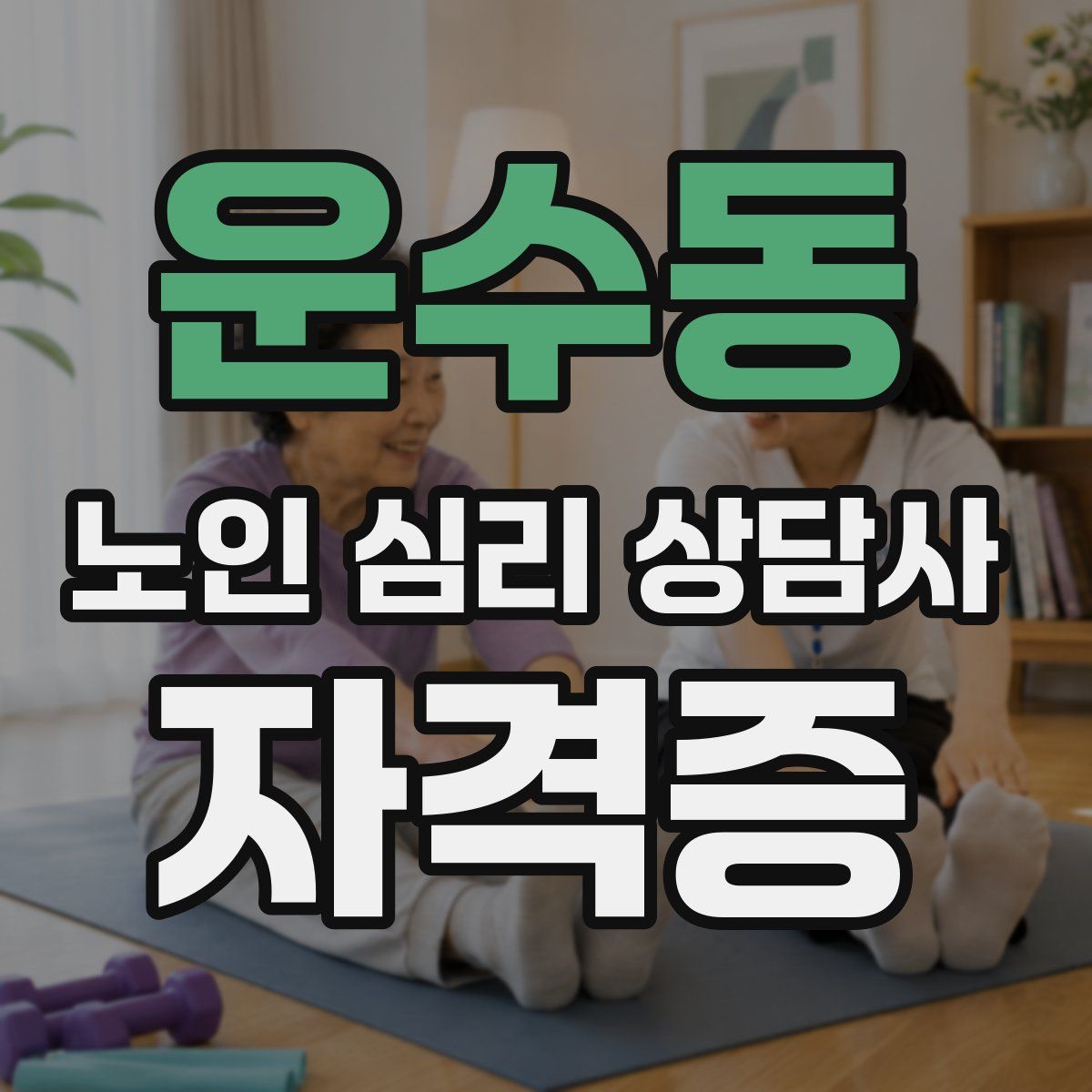운수동 노인 심리 상담사 자격증