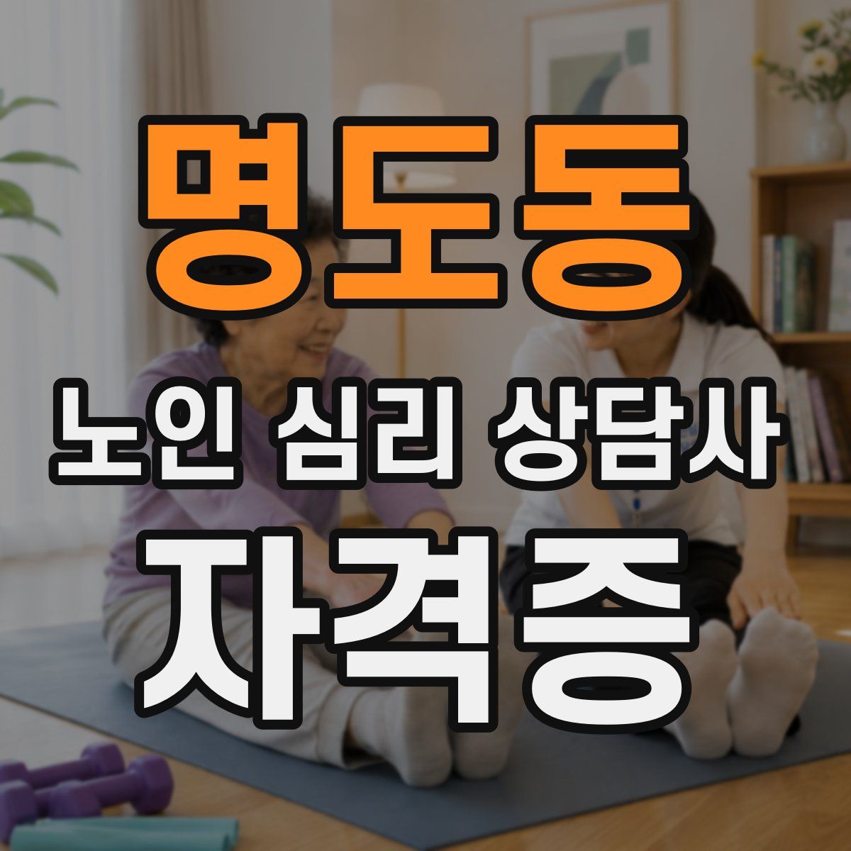 명도동 노인 심리 상담사 자격증