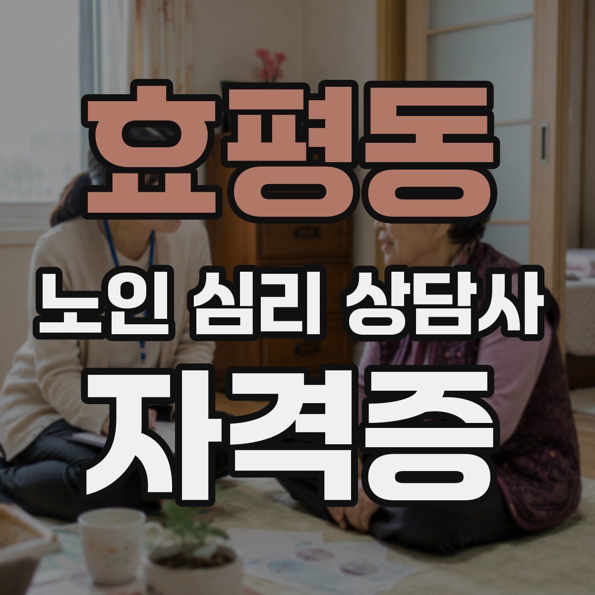 효평동 노인 심리 상담사 자격증