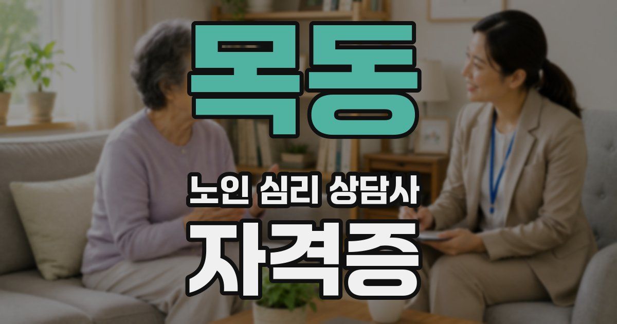목동 노인 심리 상담사 자격증