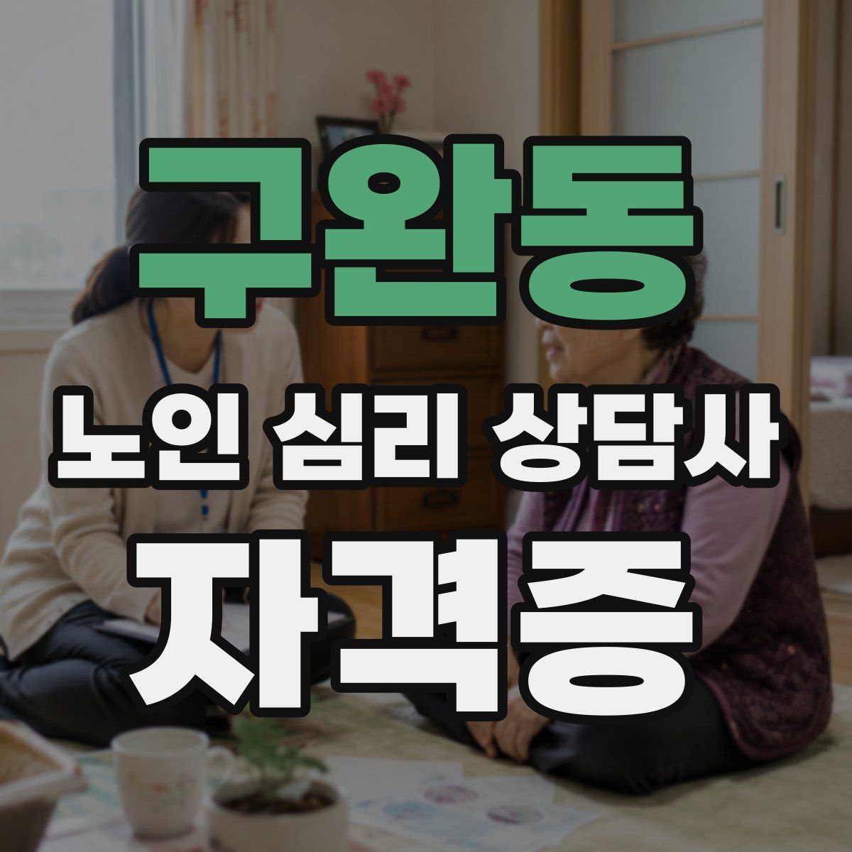 구완동 노인 심리 상담사 자격증