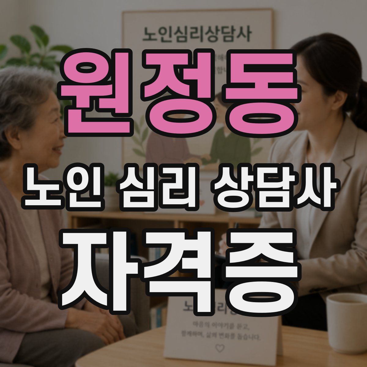 원정동 노인 심리 상담사 자격증