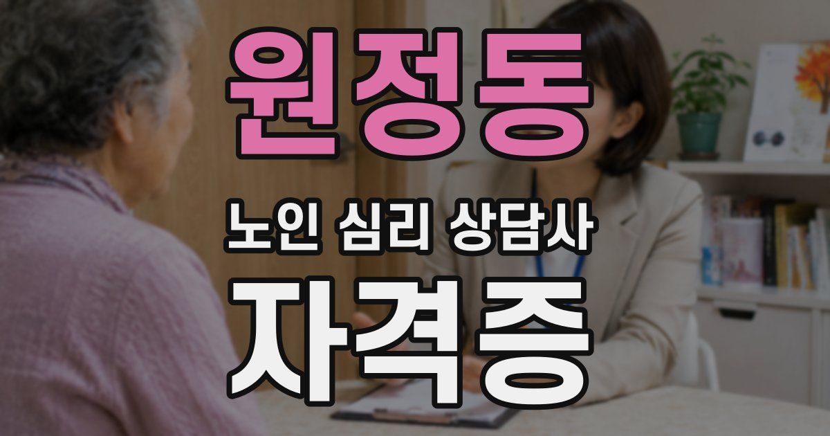 원정동 노인 심리 상담사 자격증