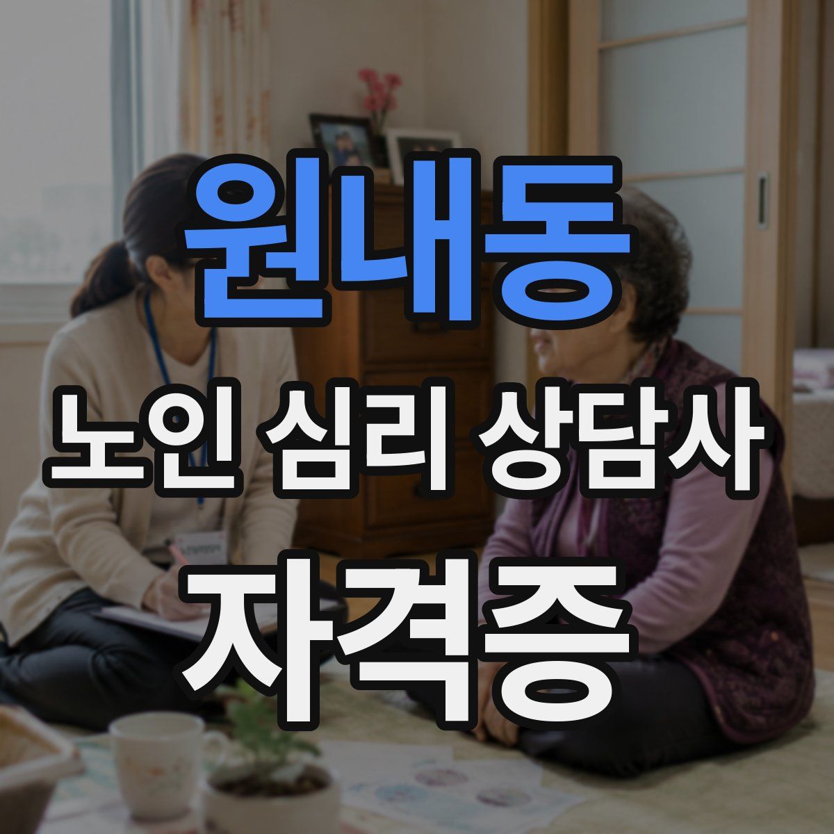 원내동 노인 심리 상담사 자격증