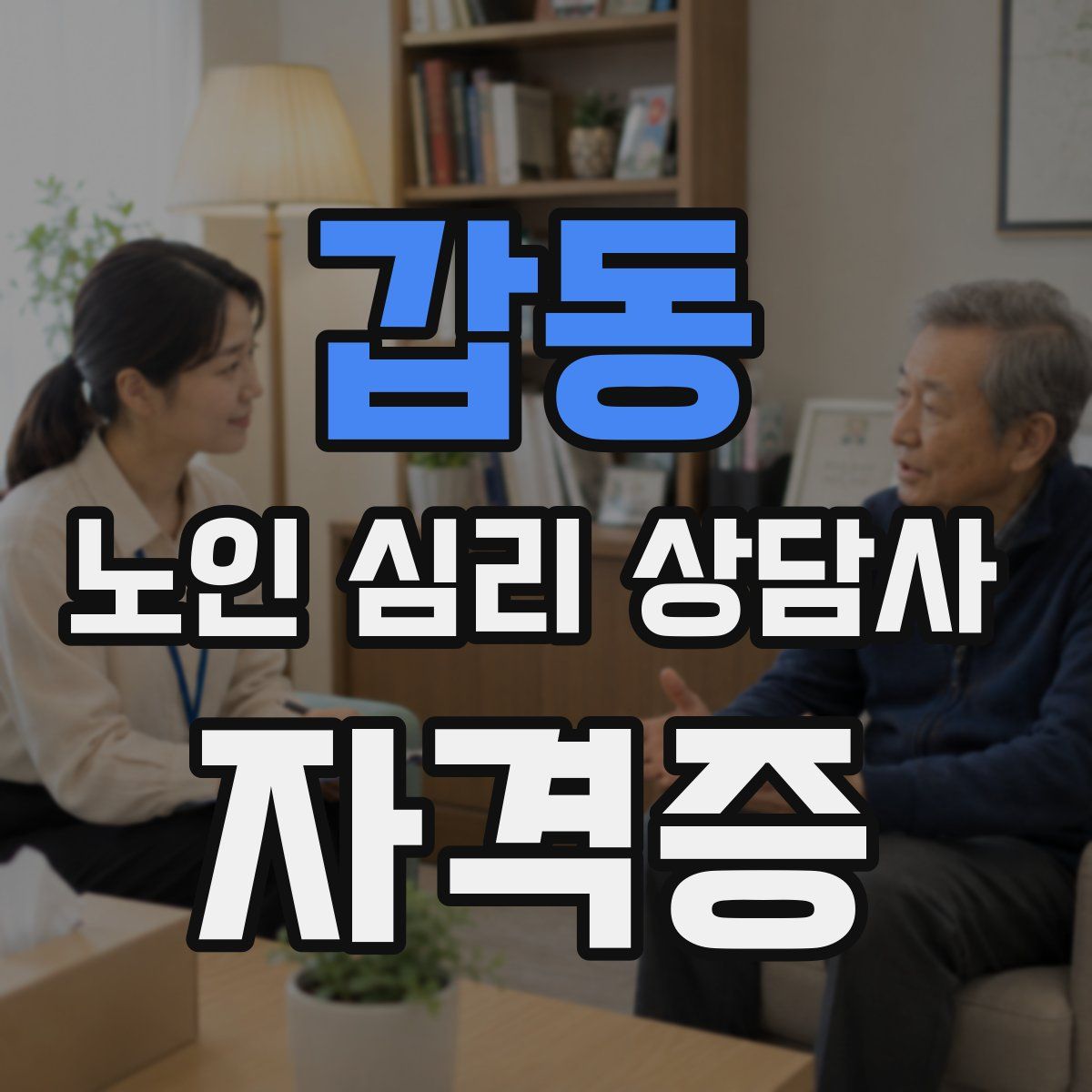 갑동 노인 심리 상담사 자격증