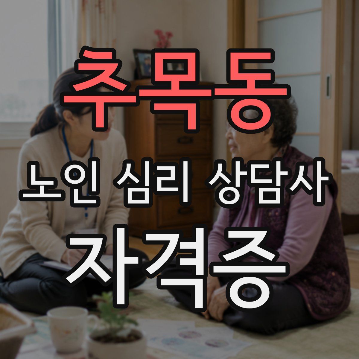 추목동 노인 심리 상담사 자격증
