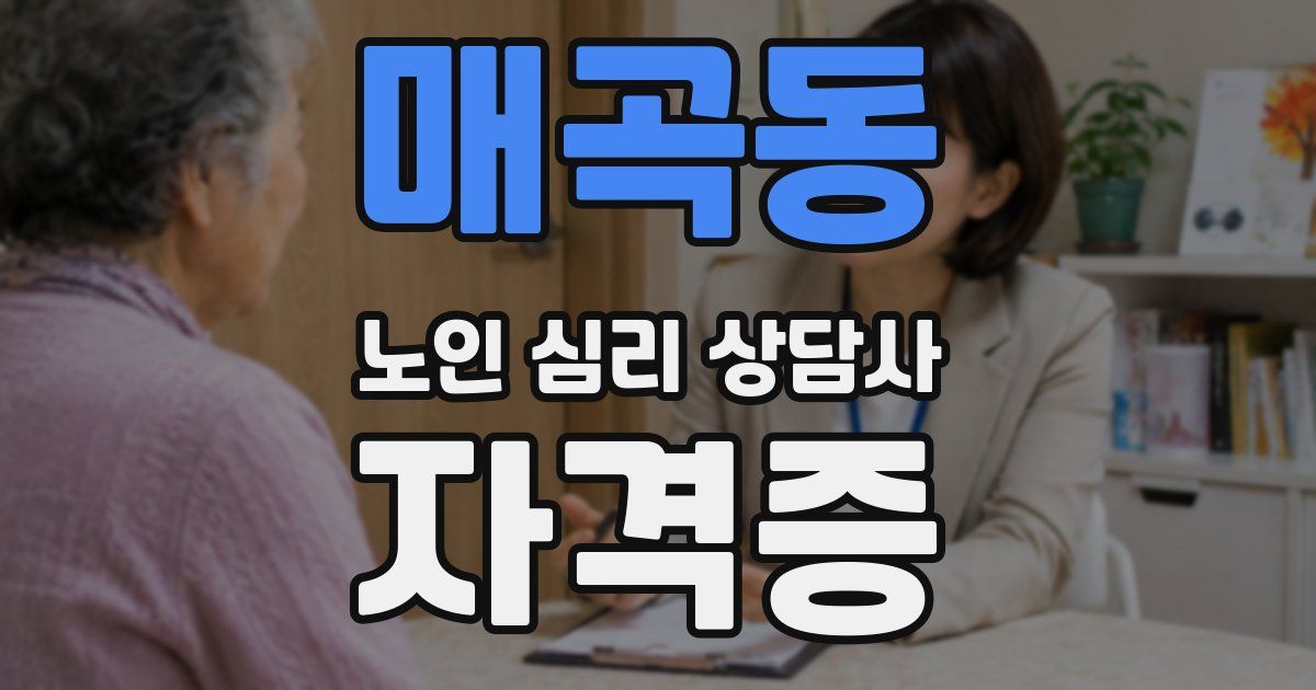 매곡동 노인 심리 상담사 자격증