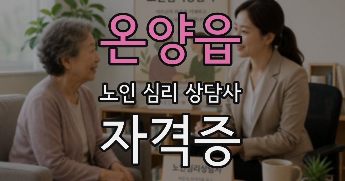 온양읍 노인 심리 상담사 자격증
