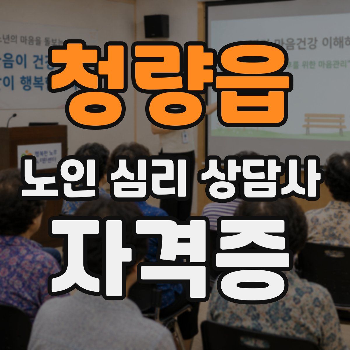 청량읍 노인 심리 상담사 자격증